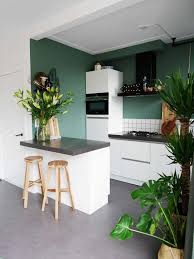 Ketepatan anda dalam memilih warna cat dapur bisa sekaligus mempengaruhi suasana hati. Inspirasi Warna Cat Dapur Minimalis Yang Stylish Duralux Paint