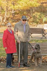 One last walk for guide dogs for Fergus family