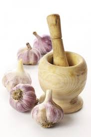 learn about using garlic for pest control