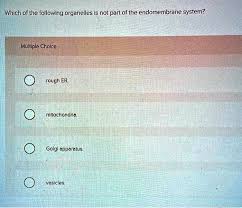 Biology: Endomembrane System: Part D Notes Flashcards | Quizlet