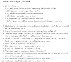 Important Questions For Class 10 Science Chapter 6 Life Processes