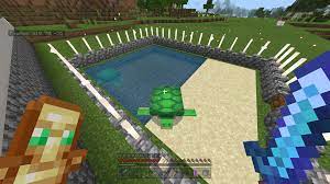 Once you have the turtles close together and on sand, feed them seagrass. My Turtles Are Not Laying Eggs Help Please Minecraft