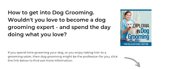 Their workshop and certification program is held around the country. Become A Dog Groomer Home Facebook