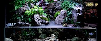 Maybe you would like to learn more about one of these? Green Aqua Aquascaping Gallery And Store Green Aqua