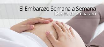 El Noveno Mes De Embarazo Semanas 36 40 El Embarazo Semana A Semana Papaenapuros Com