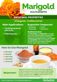 We did not find results for: Marigold Herbazest