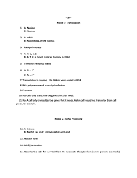 Dna mrna trna aa 5. Transcription Pogil Key