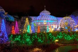 8 Magical Light Displays In Pittsburgh That Will Simply Mesmerize You This Season Light Show Phipps Conservatory Winter Flowers