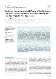 Image result for Globimetula