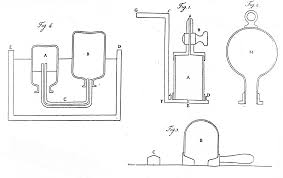 This animal can be hunted and this panther is easily recognized by its short maroon hair with black markings, and the numerous scars on its body. Mprl Cavendish Air And Water