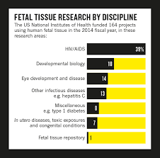 The Truth About Fetal Tissue Research Scientific American