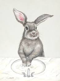 sink bunny gray bunny painting
