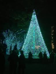 Located on the west side of piedmont park in midtown, the botanical gardens is one of the city's. Garden Lights Holiday Nights Gains A Glow Ice Storm Atlanta Magazine