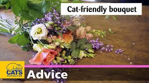 It's a platform to ask questions and connect with people who contribute unique insights and quality answers. Plants Poisonous To Cats Our Guide Cats Protection
