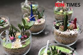 Bersihkan wadah kaca dengan air dan sabun. 5 Cara Membuat Terrarium Sederhana Mewah Dan Low Budget
