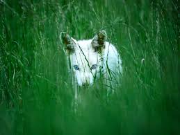 Onlyfans rita porcu RitaWild - camperando masturbation.