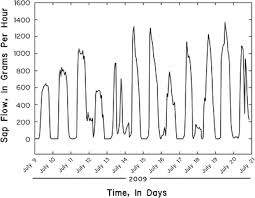 You need to find the cactus looking trees and chop them down with a hatchet or morellotops or whatever. Monitoring Plant And Groundwater Interactions Springerlink