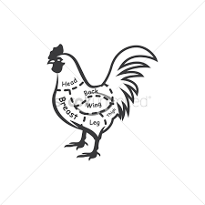 Free Chicken Butcher Cut Chart Vector Image 1516155