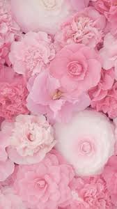 Pin By Miranda Hooisma On Cute Wallpaper Pink Flowers Amazing Flowers Flowers Photography