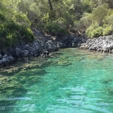 Akvaryum Koyu Mugla Da Koy