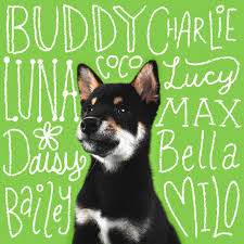 Image result for Pet Names