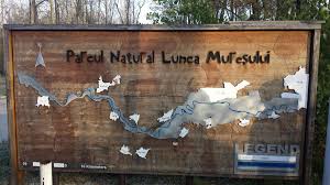 Parcul dispune de panouri informative. Ecnc On Twitter Natura200 Biogeographicalprocess Seminar Site Visit To The Lunca MureÈului Natural Park In Arad County Romania Https T Co Tp4tjobtza