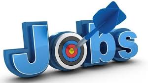 Image result for job image hindi