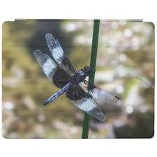 Black And Blue Widow Skimmer Dragonfly Widow Skimmer Dragonfly Ipad Smart Cover Zazzle Com Electronic Gifts Cover Gifts