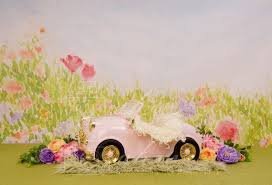Newborn Digital Backdrop Pink Car Park Outdoors Floral Etsy Digital Backdrops Digital Photography Backdrops Backdrops