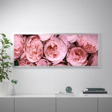 Bjorksta Gerahmtes Bild Rosa Pfingstrosen Aluminiumfarben Ikea Osterreich Pink Peonies Art Pink Peonies Hanging Art