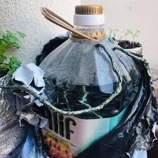 Cara bancuh baja ab dengan betul dan mudah pati baja ab hidroponik fertigasi jom belajar. Semai Ketumbar Siram Baja Guna Teknik Self Watering Tanah Lembab Pokok Kekal Segar Mingguan Wanita