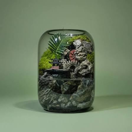 PlantPico Water falling | Nature Lover's Gift | Mindfulness Terrarium – PlantPico™