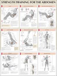 Weider Home Exercise Online Charts Collection