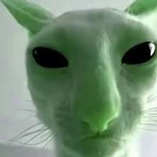 catwheezie | I can't stop thinking about alien cats ...