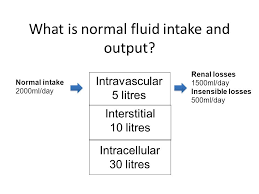 Fluid Balance Outline Of Talk Fluid Compartments What Can