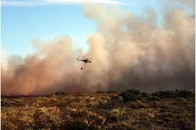 Follow perth news from the top news sites and blogs by industry experts in one place. Australian Bush Fires Warmed The Stratosphere For Six Months