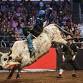 Chandler Vaqueros Saddle Club