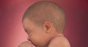 Use a little on your baby's scalp to help with easier brushing. Fetal Development Your Baby S Hair Babycenter