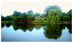 Check spelling or type a new query. The Perfect Assistant Wikipedia