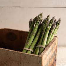 Asparagus stalks increase in circumference and number over time — it definitely gets. Millennium F1 Asparagus Crowns Johnny S Selected Seeds Asparagus Seeds Asparagus Growing Asparagus From Seed