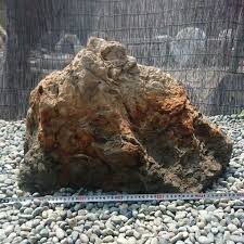 Tree Tree Fossil 79 Kilo Garden Stone Appreciation Stone Tray Stone Suiseki St Bonsai Light Structure Garden Gardening Fossil Raw Ore Objet D Art Interior Real Yahoo Auction Salling