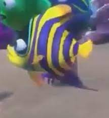 The fish in the finding nemo tank wouldn't get along in real life, and they'd need a lot more space. Yellow Purple Fish Finding Hank Wikia Fandom