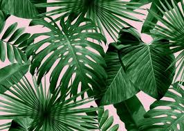 Green natural tropical plant background with bamboo stems and leaves in realistic style illustration. View 17 Palm Leaves Background Aesthetic