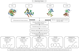 structure based multitargeted molecular docking analysis of