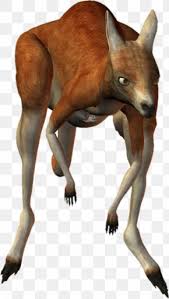 The symbol is often displayed prominently by australian spectators at sporting events, such as at cricket, tennis, basketball and football matches, and at the commonwealth and olympic games. Boxing Kangaroo Images Boxing Kangaroo Transparent Png Free Download