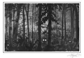 Yoakum opened his own practice at heritage in 2005. Why Animals Eyes Shine At Night But People S Don T Nh Charitable Foundation