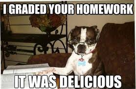 Image result for homework memes funny