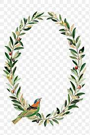 Hummingbird Pattern Frame Png Olive Branches Copy Space Free Image By Rawpixel Com Noon Olive Branch Wreath Olive Branch Png