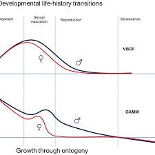 Comparison Of Varying Models For Growth Trajectories In