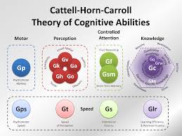 Pin On Cognitve Skills